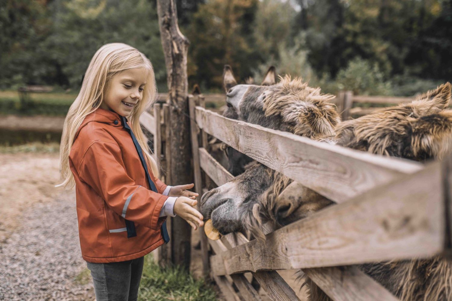 Blonde cute girl standing near the cattle-pen Close to nature. Blonde cute girl standing near the cattle-pen