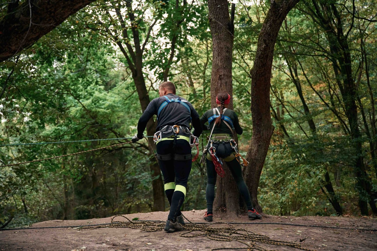 In the forest. Man and woman doing climbing with use of safety equipment In the forest. Man and woman doing climbing with use of safety equipment.