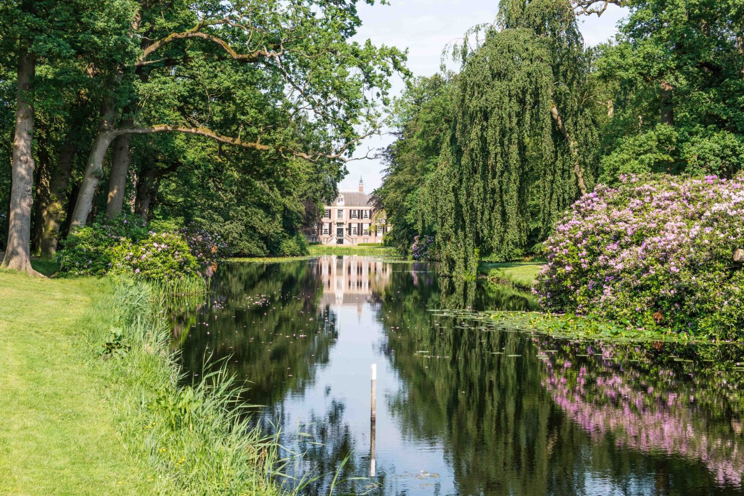 castle groeneveld in Holland rhododendrons trees and other flowers reflect in garden caste groeneveld in Holland