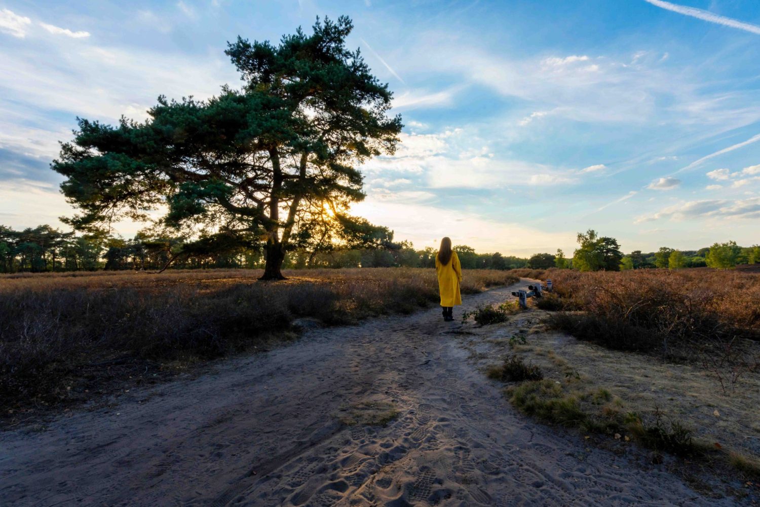 Girl in a yellow coat from behind walking on a countryside path on a sunny day A girl in a yellow coat from behind walking on a countryside path on a sunny day